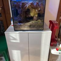 acquario marino Red Sea con mobiletto.