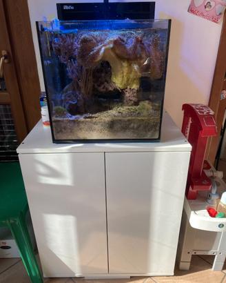 acquario marino Red Sea con mobiletto.