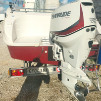 Motore fuoribordo evinrude