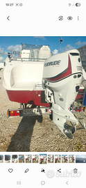 Motore fuoribordo evinrude