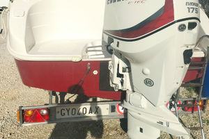 Motore fuoribordo evinrude