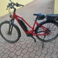 ebike trekking flyer