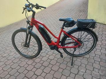 ebike trekking flyer