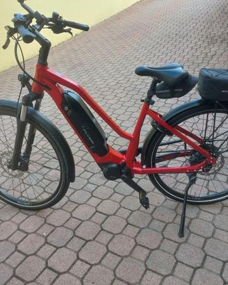 ebike trekking flyer