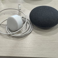 Google home nest mini