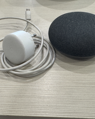 Google home nest mini