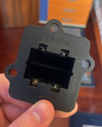 Pacco lamellare polini evolution