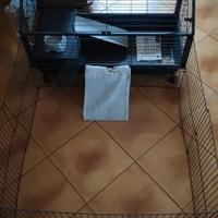 gabbia per coniglio 