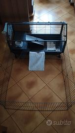 gabbia per coniglio 