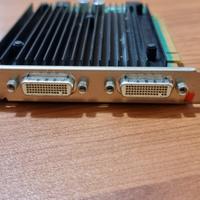 nvidia quadro nvs 440 4 schermi