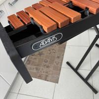 Xilofono 800 trattabile