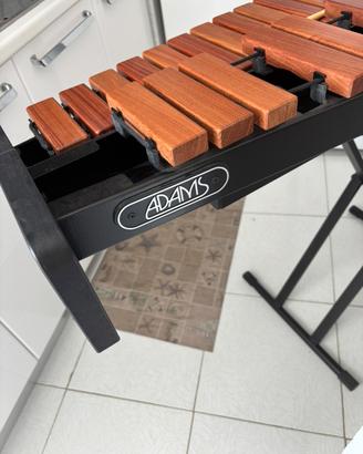 Xilofono 800 trattabile