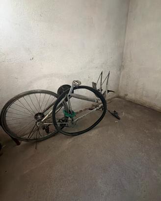 Bici - telaio uomo