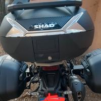 Bauletti shad benelli trk 702