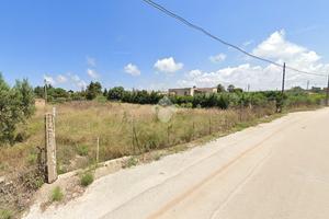 TER. AGRICOLO A MARSALA