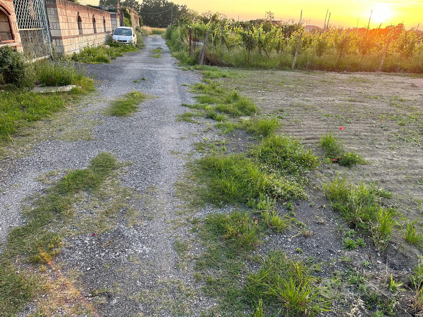 Terreno agricolo in via ripuaria - Vista 3