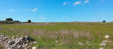 Terreno di 52.465 mq