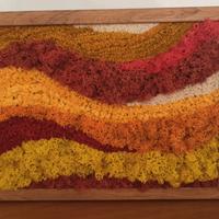 Quadro vegetale muschio