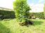 Immagine 28