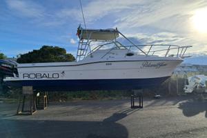 Fisherman Americano Robalo