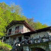 Cascina con terreno e bosco di proprietà