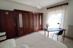 Luminosa camera singola x studentessa