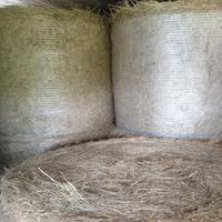 Rotoballa fieno  anche x pacciamatura orto