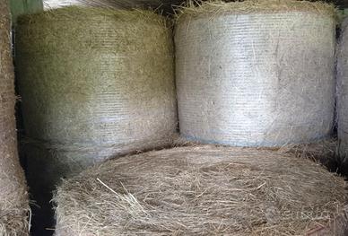 Rotoballa fieno  anche x pacciamatura orto