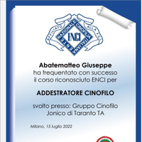 Addestramento cinofilo