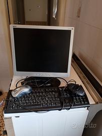 Monitor Acer Al 1715 compresi due mouse e una tast