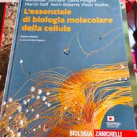 L' essenziale di biologia molecolare della cellula
