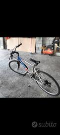 bici Olmo