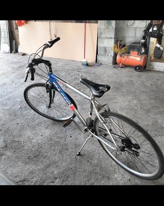 bici Olmo