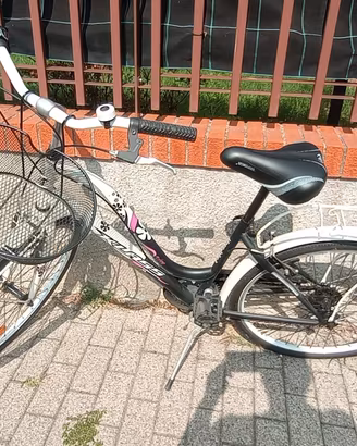 bicicletta 