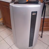 condizionatore pinguino