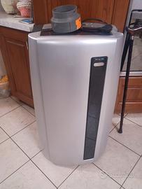 condizionatore pinguino