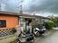 Immagine 11