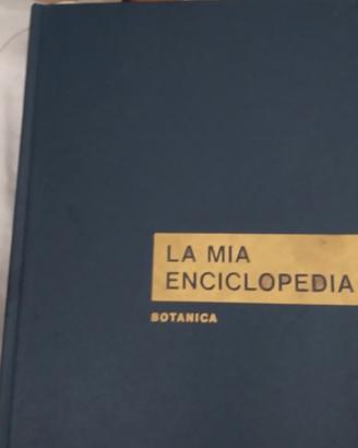 Enciclopedia per ragazzi 