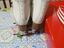 Immagine 6