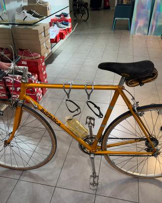 Bici da corsa adriatica