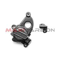 Cover pick-up carbonio BMW S 1000 RR 2019