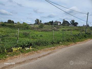 Vendita terreno agricolo