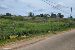 Vendita terreno agricolo