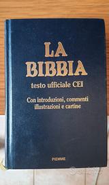 il libro della Bibbia