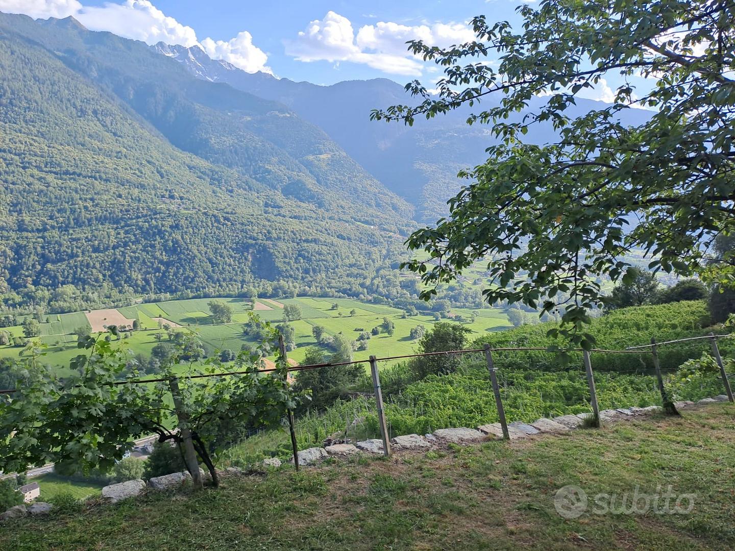 Rustico da ristrutturare con terreno - Vista 4