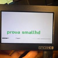 Monitor video +loupe
