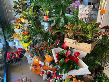 Attività di vendita Fiori e Piante
