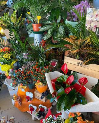 Attività di vendita Fiori e Piante