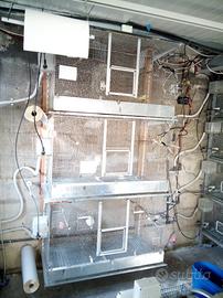 Batteria di gabbie a parete con sistema rotolo car