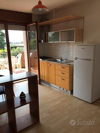 Cucina/sedie/scaffale